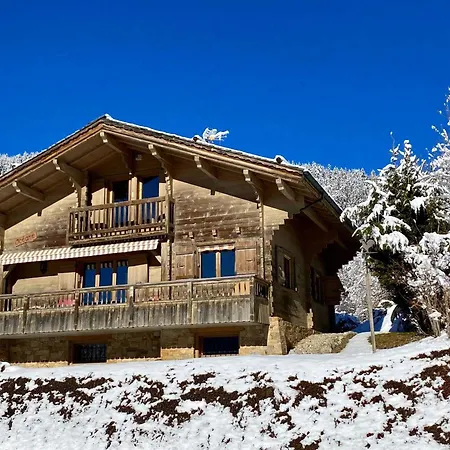 Chalet Traditionnel Avec Garage Double Et Terrasse - Fr-1-459-227